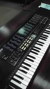 casio