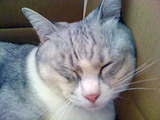 hana0905_2