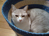 hana0926_1