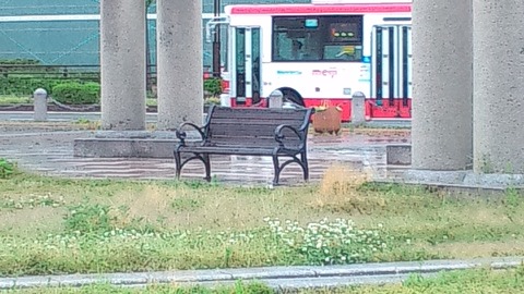 9dbe6019.jpg