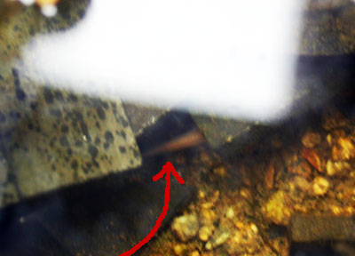 20120215-03