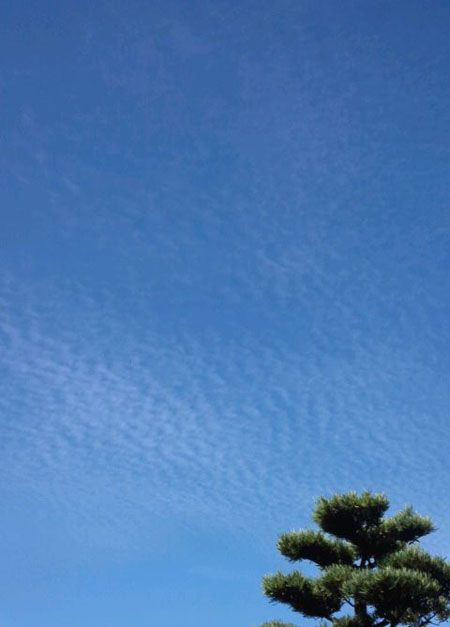 20160722-01