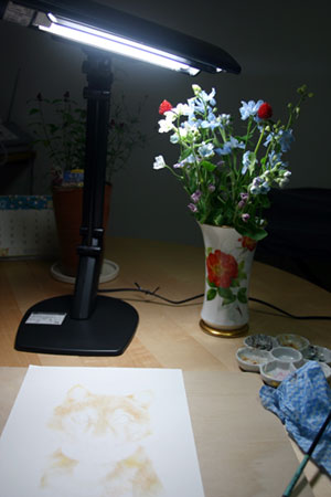 20101205