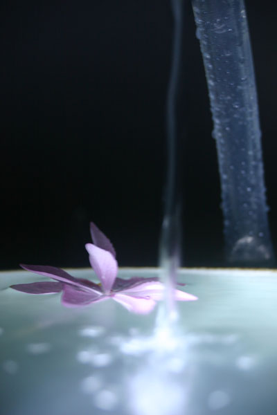20110529-06