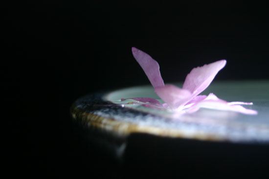 20110529-09
