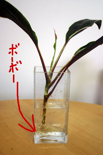 20120211-02