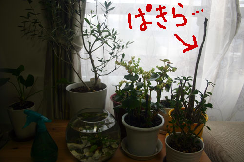 20120211-01