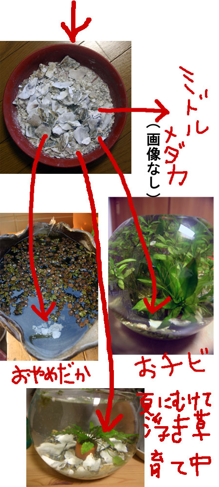 20120208-02