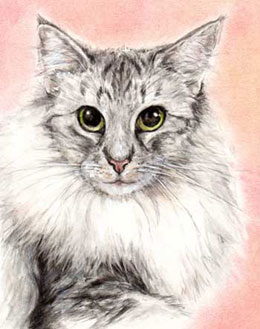 07