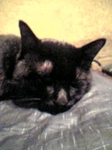 80735c2d.jpg