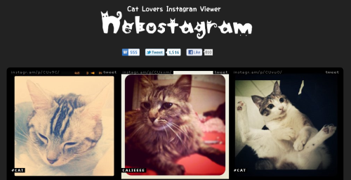 nekostagram