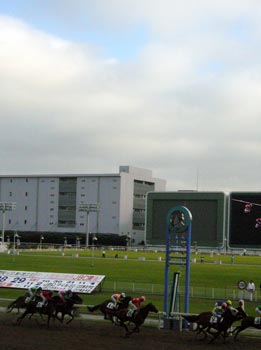 競馬場に到着