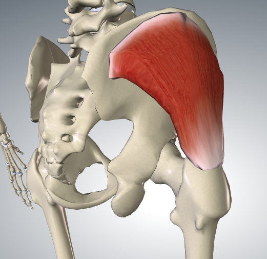 股関節の横側が痛いときの主な原因