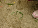 a6465a33.jpg