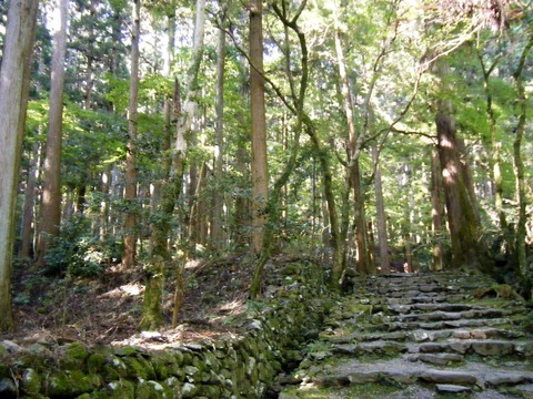 山奥に捨てた