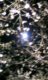 dc56d242.jpg