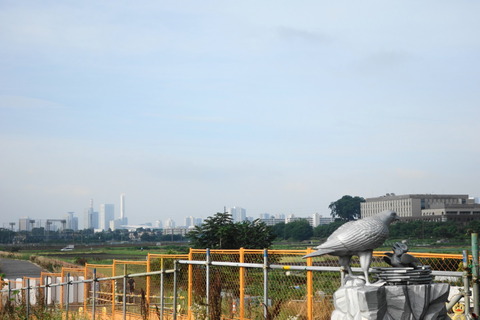DSC03450