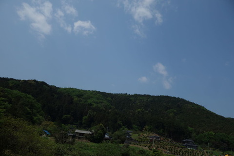 DSC03198