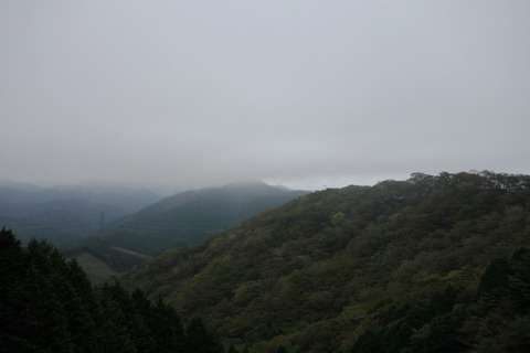 DSC08561