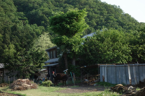 DSC03579