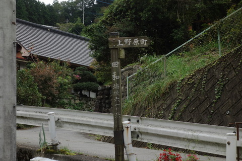 DSC08744