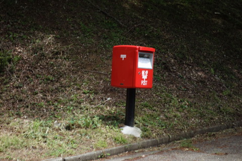 DSC03413