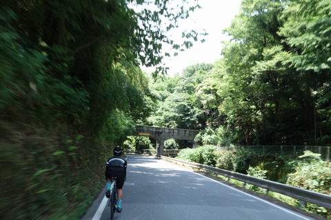 DSC04529