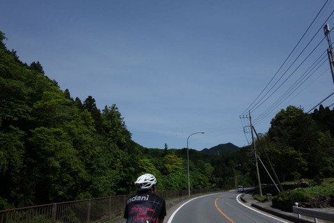 DSC03387