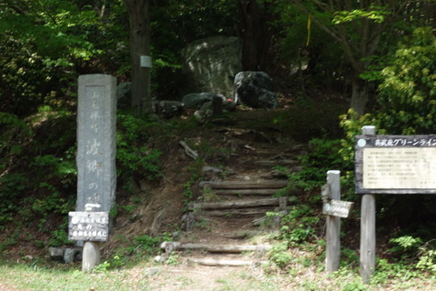DSC03478