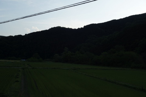DSC03629