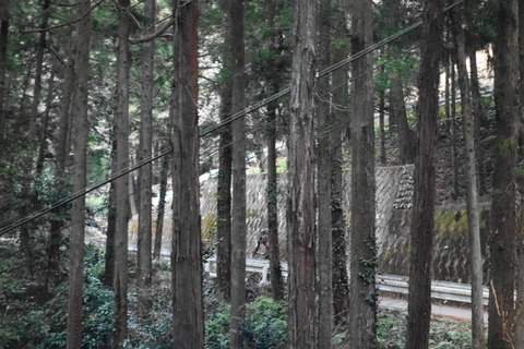 DSC02924