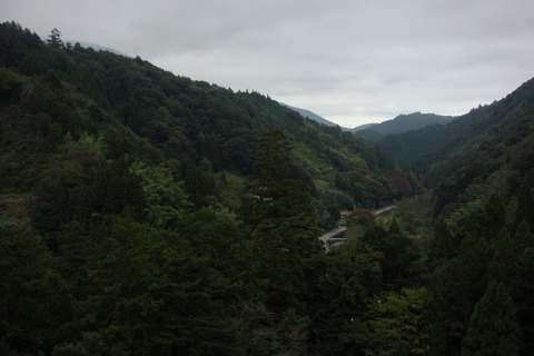 DSC08781
