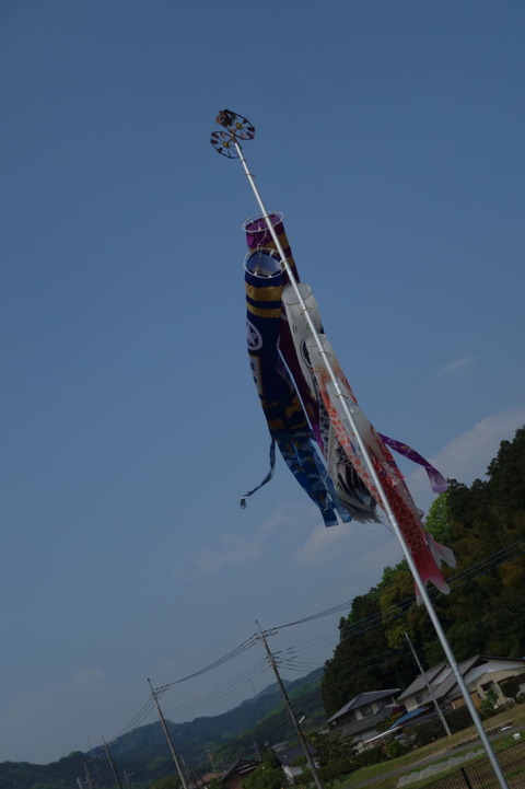 DSC03183
