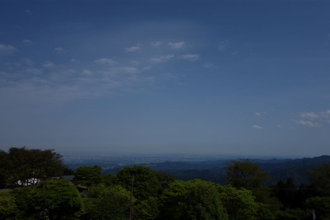 DSC03516