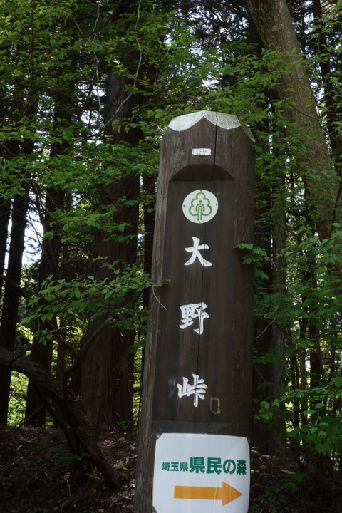DSC03505