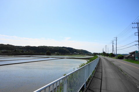 DSC03235