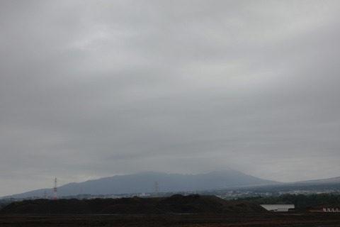 DSC08539