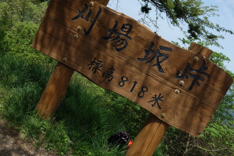 DSC03499