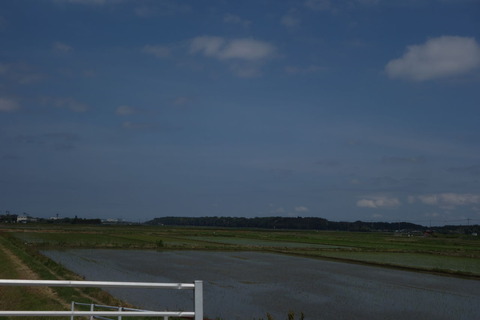 DSC03989