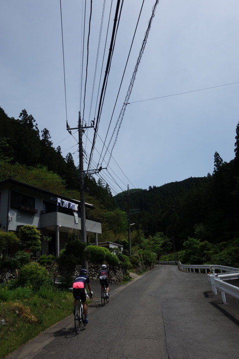 DSC03398