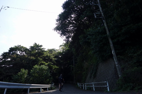 DSC07007