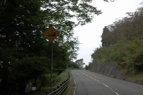DSC08551