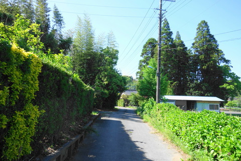 DSC03236