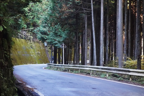 DSC00314