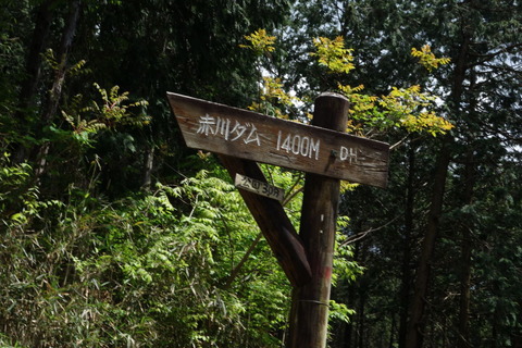 DSC03140