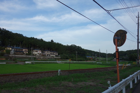 DSC05480