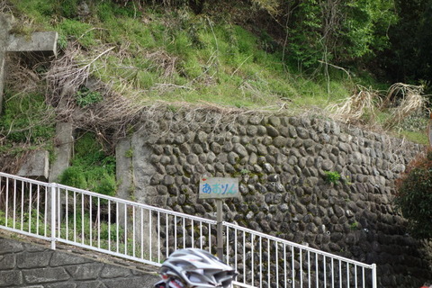 DSC02455