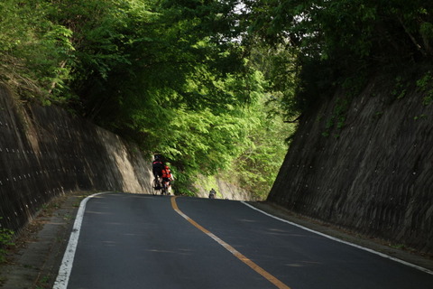 DSC03300