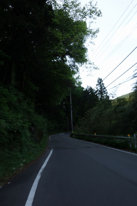 DSC03558