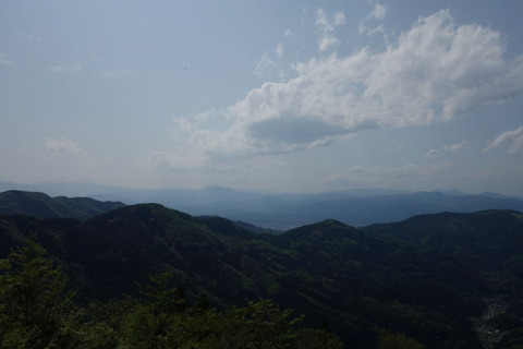DSC03527